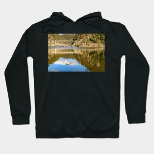 Alexandra Suspension Bridge 01 Hoodie